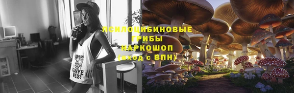 соль ск Краснослободск