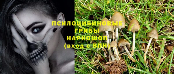 гашик Красноперекопск
