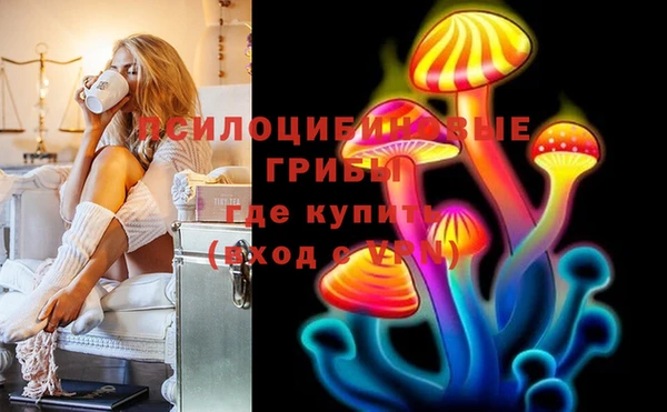 соль ск Краснослободск